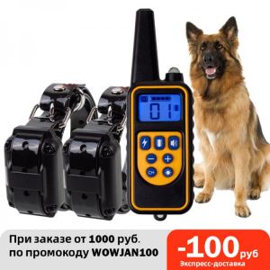  Shop Yosef כלבים 800m Electric Dog Training Collar Pet Remote Control Waterproof Rechargeable with LCD Display for All Size Shock Vibration Sound